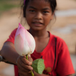 lotus flower siem reap photo tour