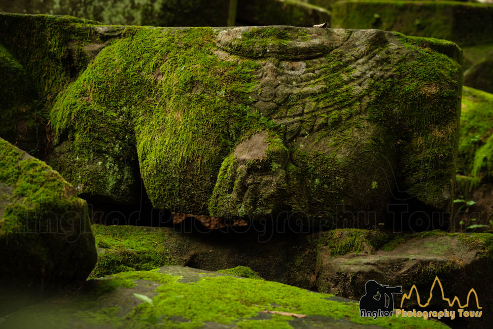 angkor statue chest moss