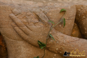 aspara hand banteay thom angkor photography tours