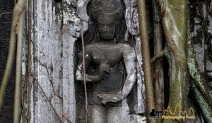 Devata behind a tree in Ta Prohm temple