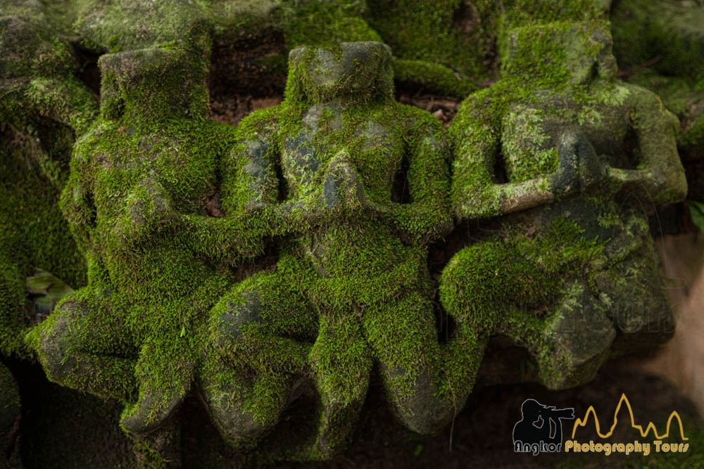 cambodia monsoon, angkor carvings moss