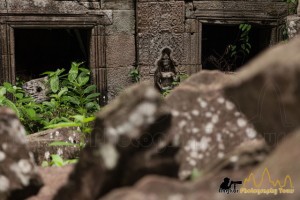 Devata behind crumbling stones in Preah Khan temple