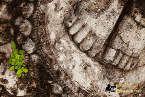 Buddha feet Wat Phra Pai Luang 