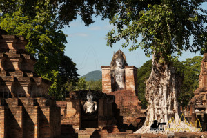 Standing buddha images at  Wat Mahathat temple