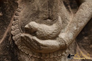 Devata bird Ta Phrom photography tours