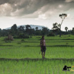 famer paddy field siem reap photo tour