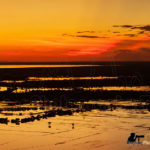 countryside siem reap sunset photography tour