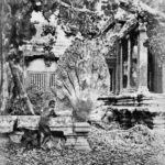 thomson-angkor-wat-naga-1866