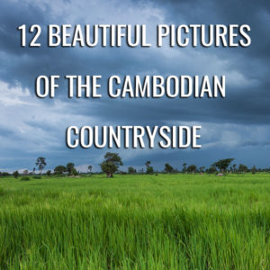 campagne cambodgienne siem reap, champs de riz cambodge