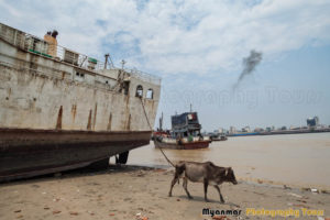 yangon photography