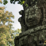 preah khan kompong svay photography tour