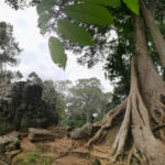 panorama angkor thom cambodia