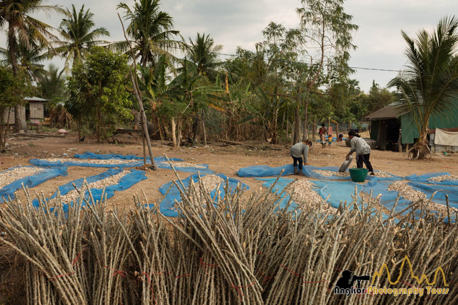 manioc processing banteay chmmar