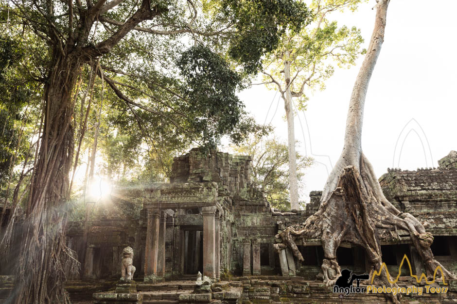 preah khan temple angkor