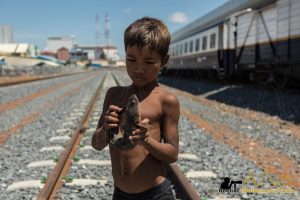 cambodia trains