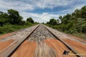 bamboo train