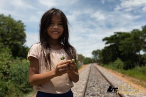 battambang train