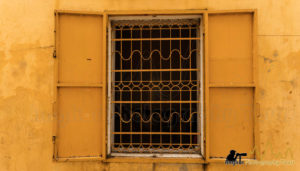 yellow battambang photography