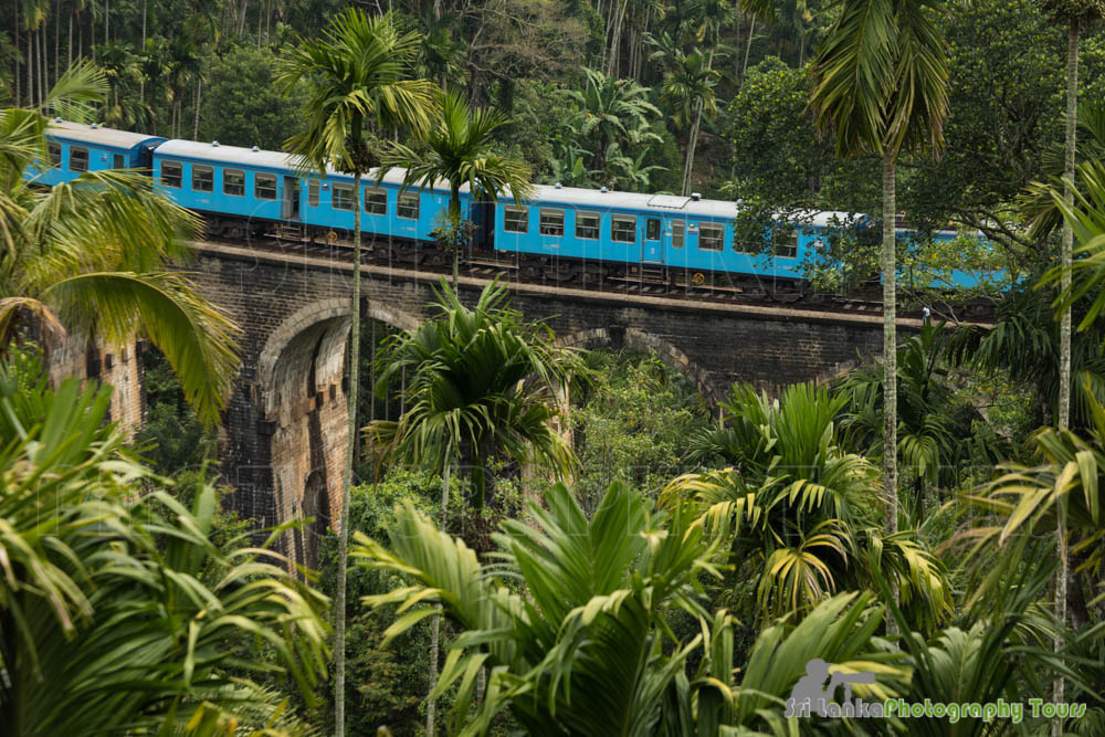 train passing on the nine arch bridge in ella