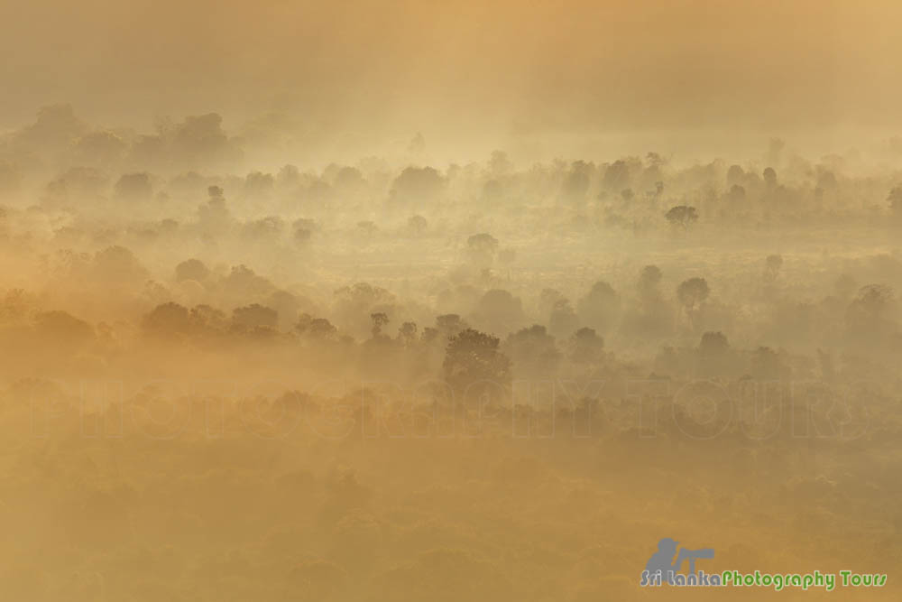 sigiriya sunrise mist sri lanka photography tour