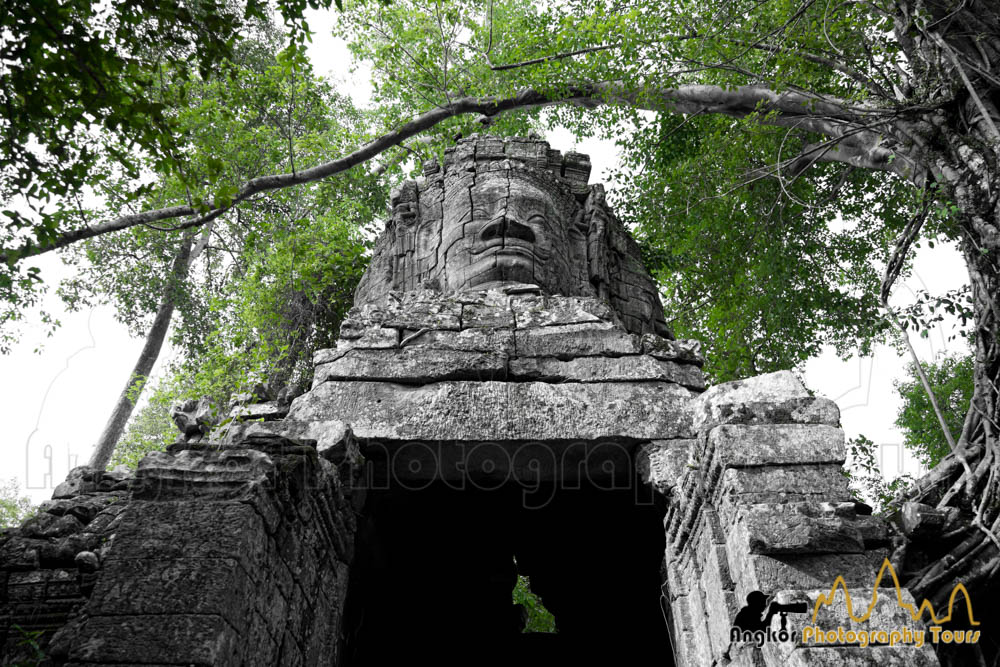 ta prohm temple gate