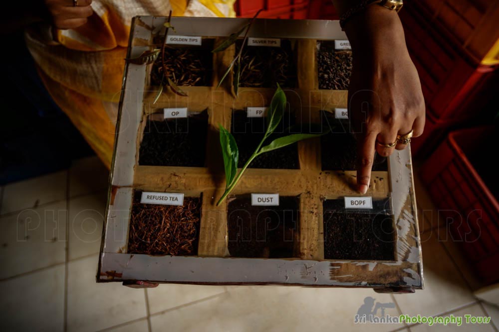 different tea qualities sri lanka