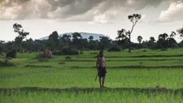 temple countryside siem reap photo tour