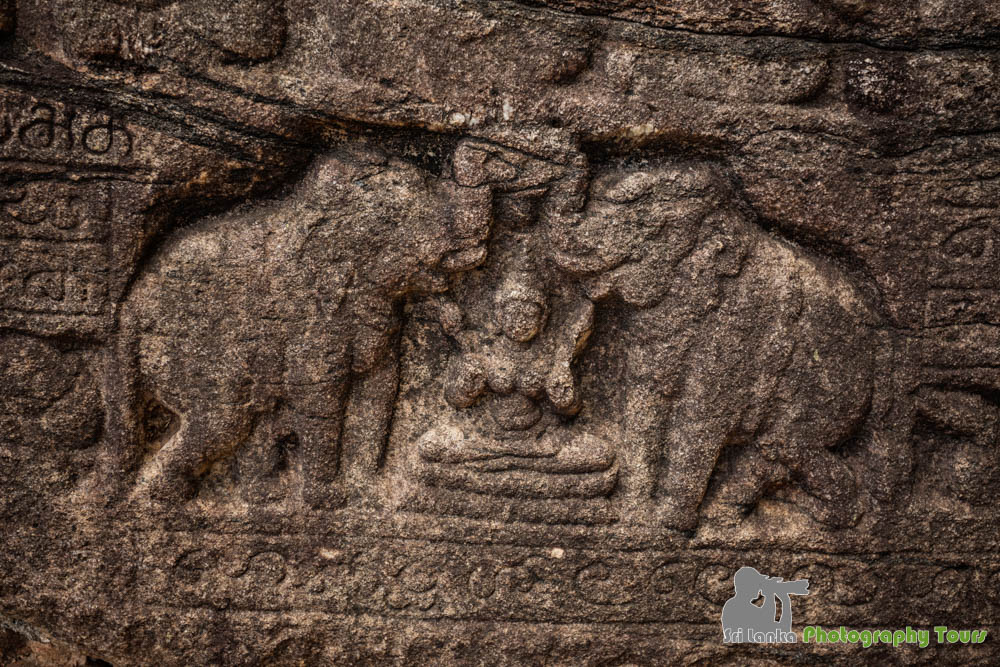 elephants carving Polonnaruwa