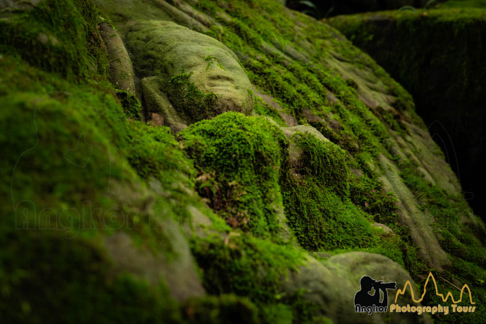 cambodia green season angkor