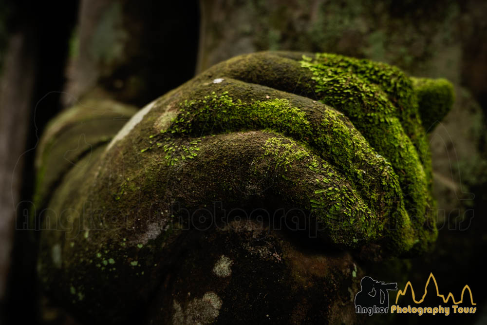 cambodia green season,guardian hand