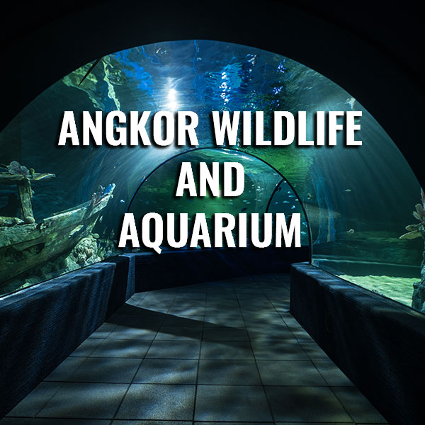 Angkor Wildlife Aquarium