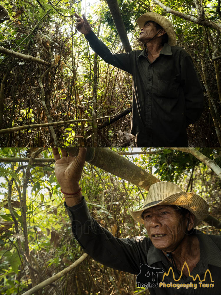 beekeeper cambodia