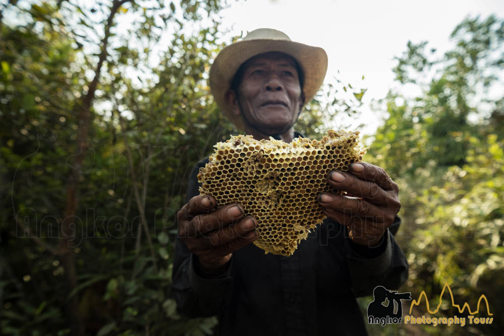 honey hunter cambodia