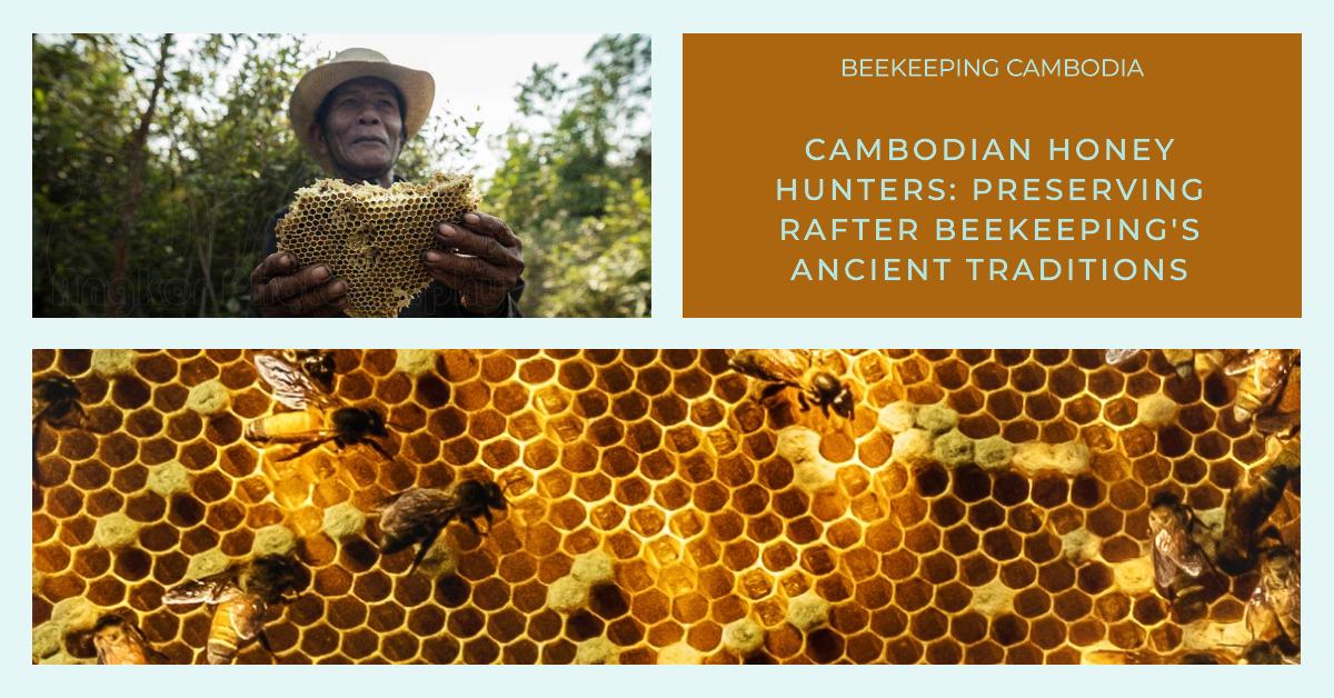 rafter beekeeping cambodia