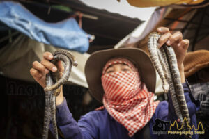 cambodia market snake seller