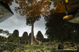 angkor temple reflection