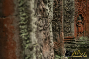 ta prohm temple in red