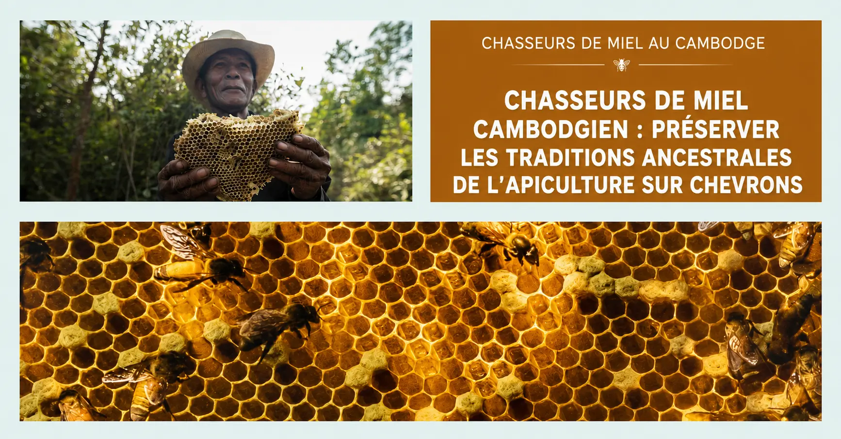 apiculture sur chevrons au cambodge