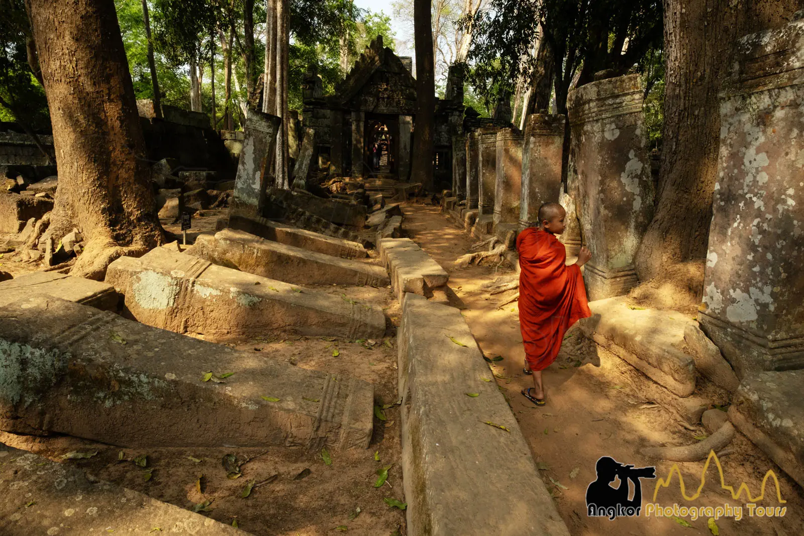 Temple de Koh Ker, paysage de jungle